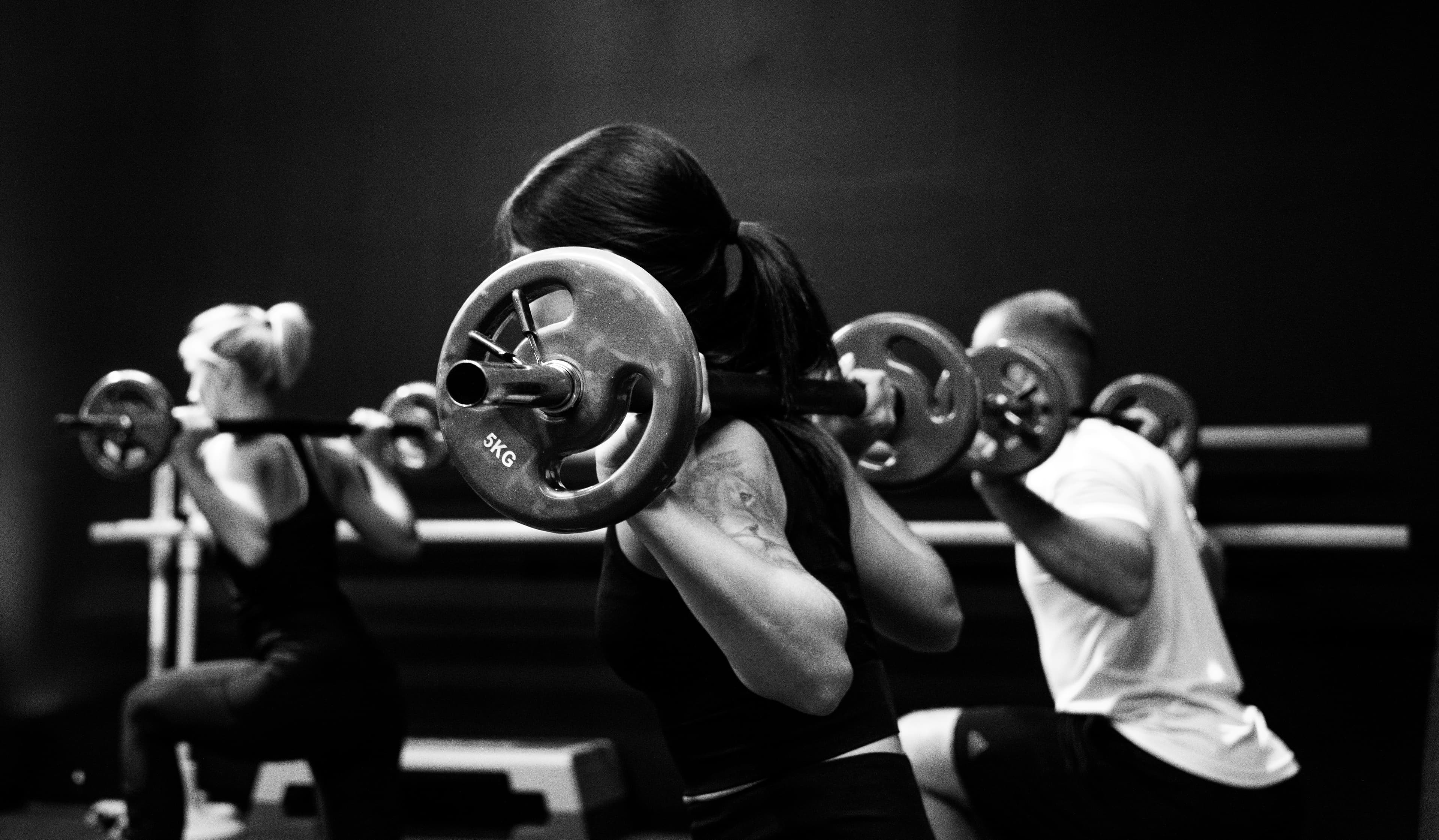 Fitness and wellness Android app development